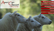 American Cheviot Sheep Society